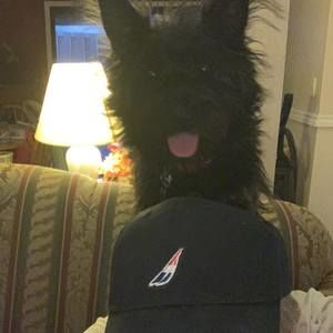 Meet your Posher, Christopher